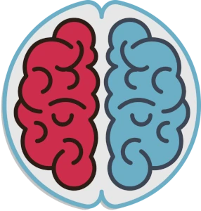 Cerveau droit, cerveau gauche