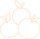 EDU-health-shape-33