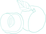 EDU-shape-02-2