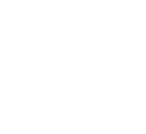 EDU-shape-08-1